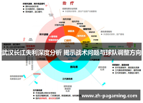 武汉长江失利深度分析 揭示战术问题与球队调整方向
