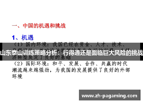 山东泰山训练策略分析：行得通还是面临巨大风险的挑战