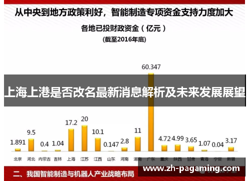 上海上港是否改名最新消息解析及未来发展展望