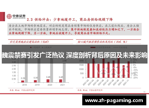 魏震禁赛引发广泛热议 深度剖析背后原因及未来影响