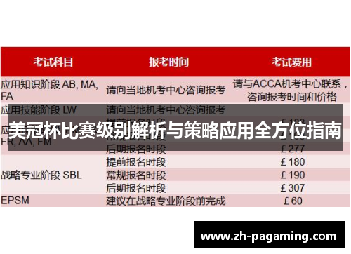 美冠杯比赛级别解析与策略应用全方位指南