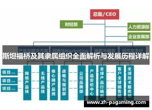 斯坦福桥及其隶属组织全面解析与发展历程详解