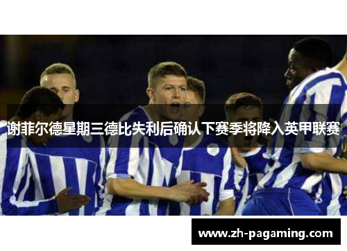 谢菲尔德星期三德比失利后确认下赛季将降入英甲联赛 谢菲尔德星期三德比失利后确认下赛季将降入英甲联赛